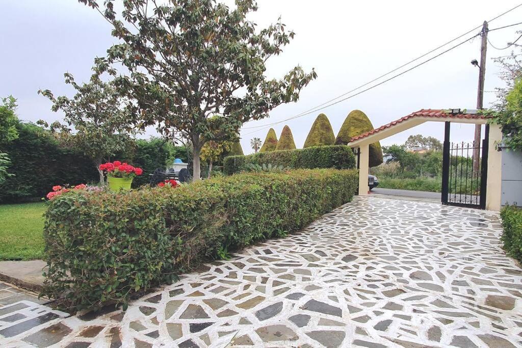 Vacation Studio Oropos Nea Palatia 外观 照片