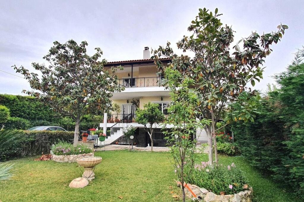 Vacation Studio Oropos Nea Palatia 外观 照片