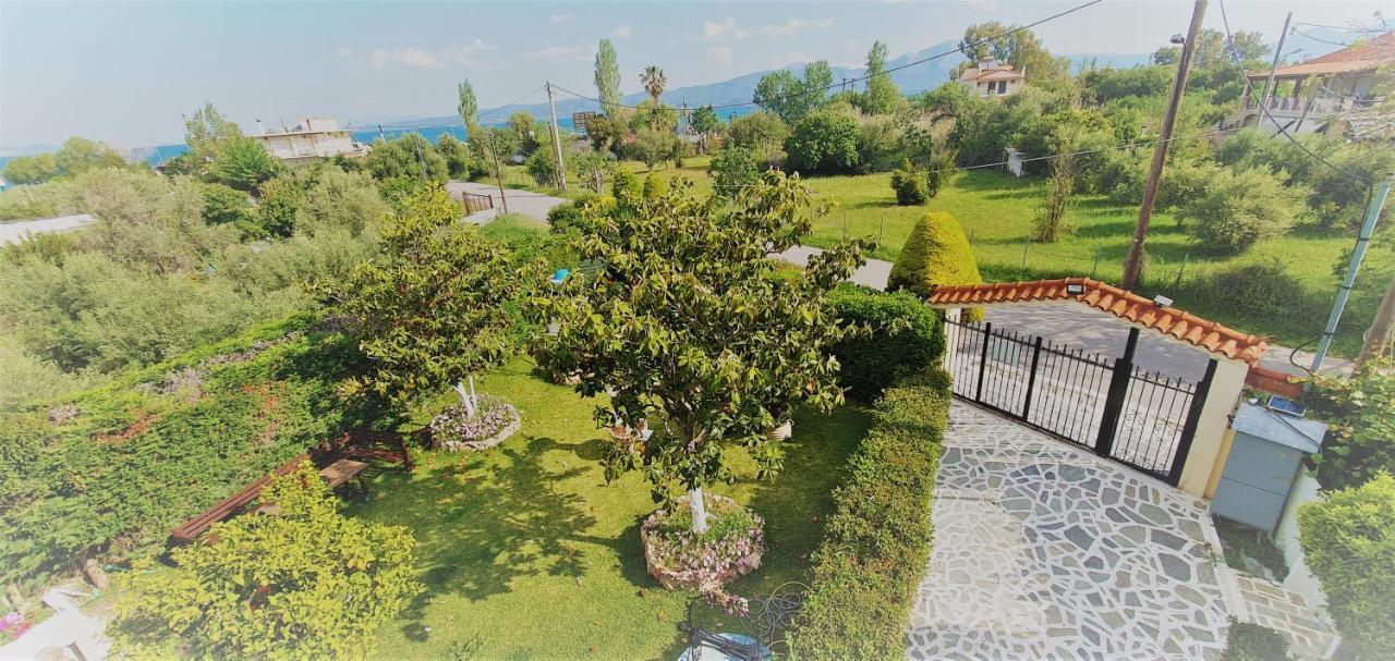 Vacation Studio Oropos Nea Palatia 外观 照片